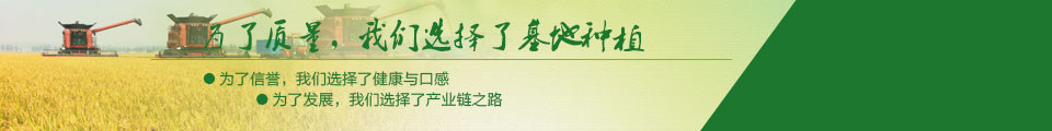 大米加工企業